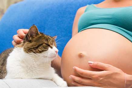 Can Pets Sense Pregnancy?